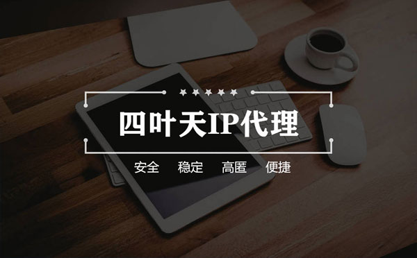 【如皋代理IP】如何快速搭建代理IP？怎么检查代理的效果？